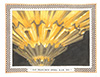 San Francisco Opera 5